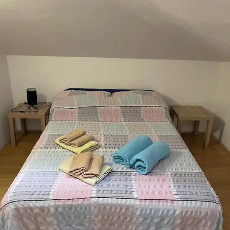 公寓 Dejan Apartment-top Centar *