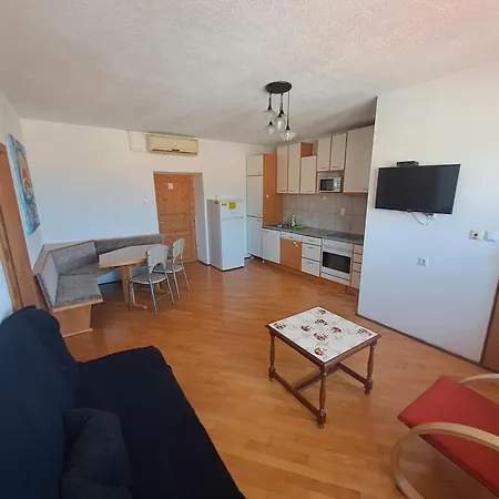 Dejan Apartment-top Centar 公寓 普拉