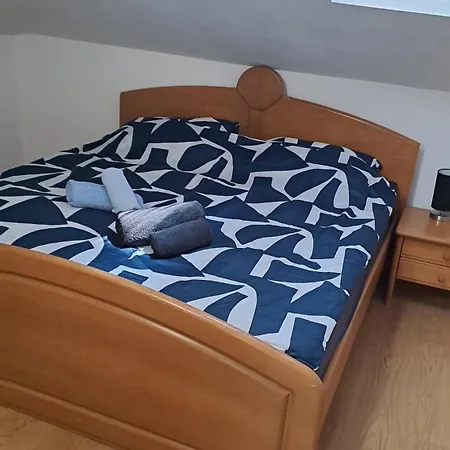 公寓 Dejan Apartment-top Centar 普拉