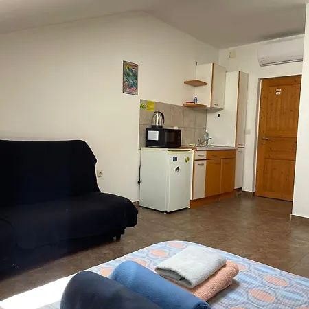 Dejan Apartment-top Centar * 普拉