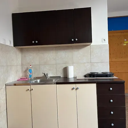 Dejan Apartment-top Centar Appartement *