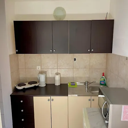 Dejan Apartment-top Centar *