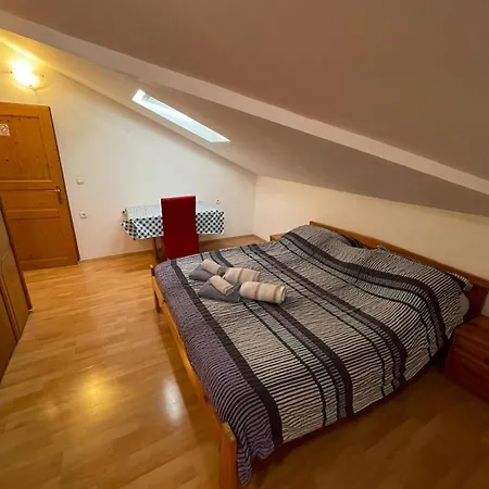 Dejan Apartment-top Centar Apartament