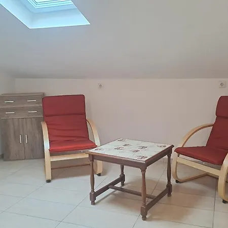 Dejan Apartment-top Centar * 普拉