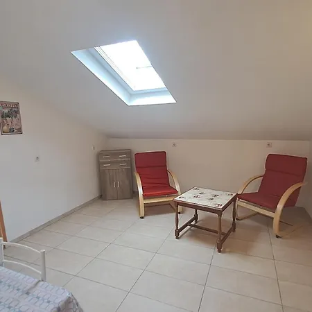 公寓 Dejan Apartment-top Centar