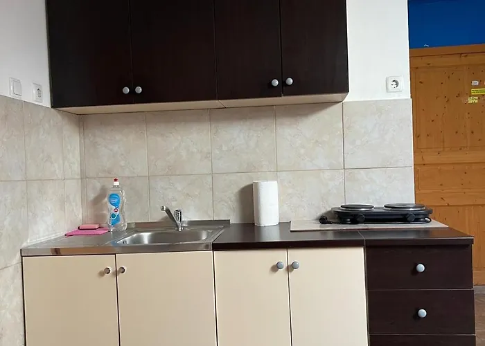 Dejan Apartment-top Centar Appartement *