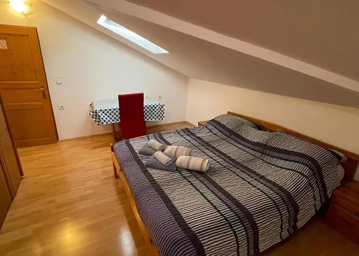 Dejan Apartment-top Centar Appartement