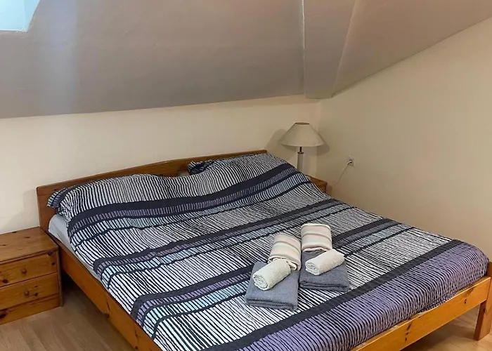 Dejan Apartment-top Centar Appartement *
