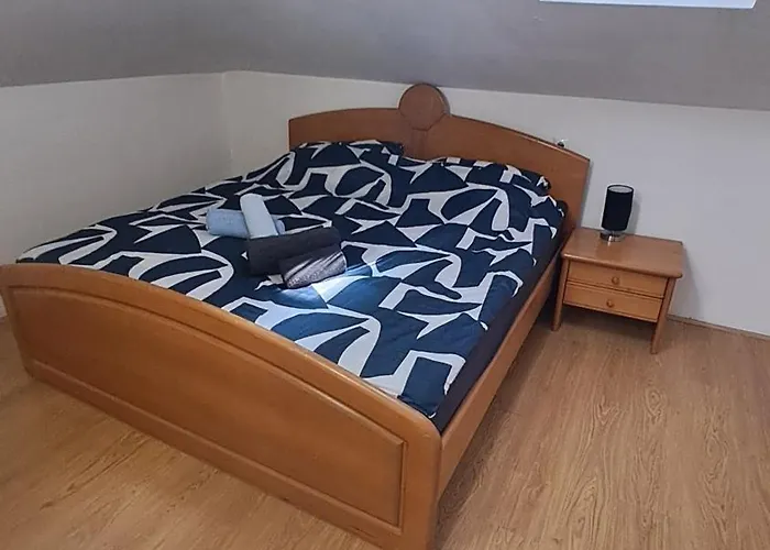 Daire Dejan Apartment-top Centar *